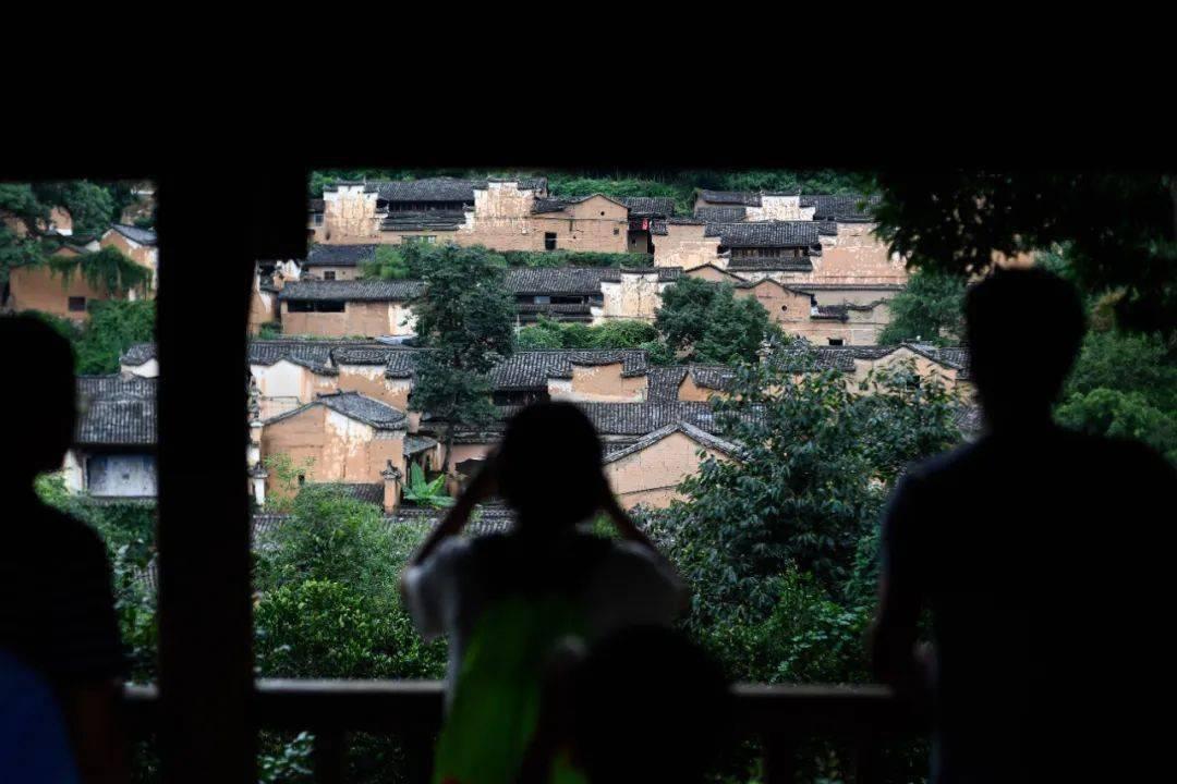 一人塌房,全剧扑街,娱乐圈的“陪葬剧”盘点